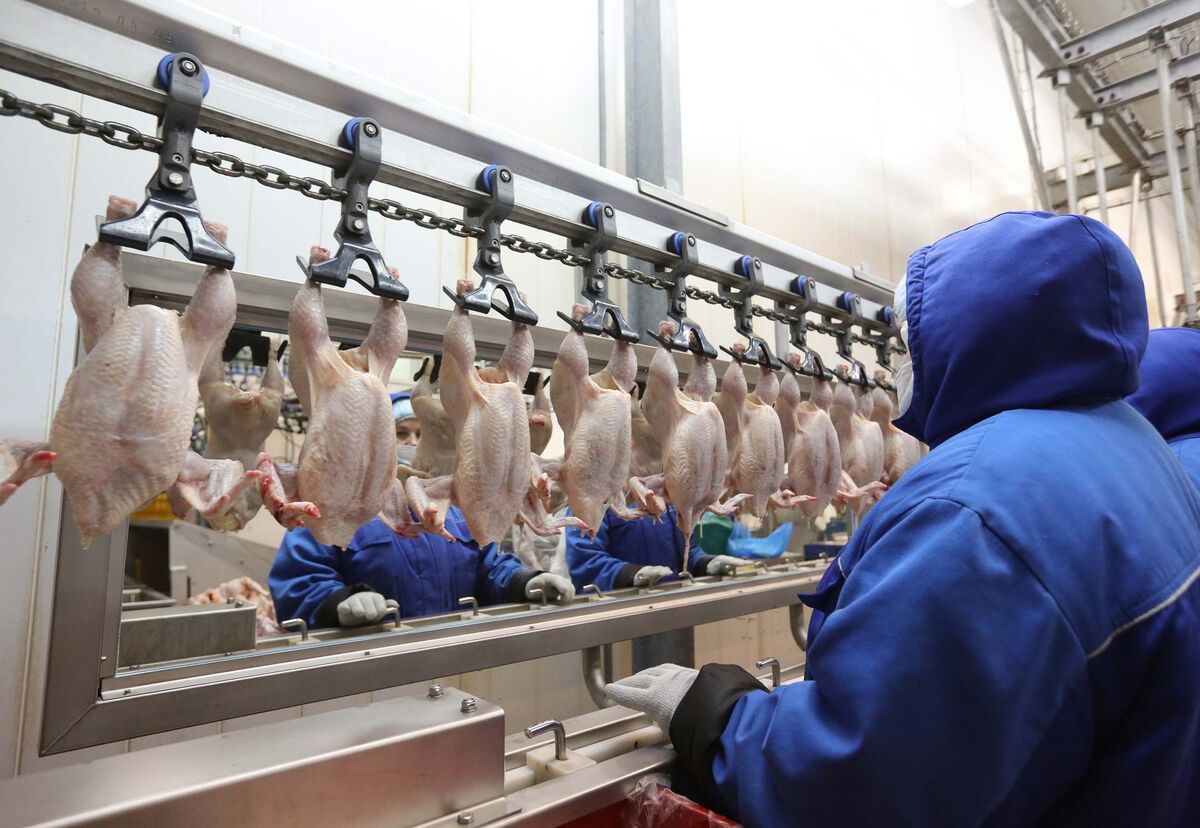 Farmers Beef With Trump Over ‘Big Meat’