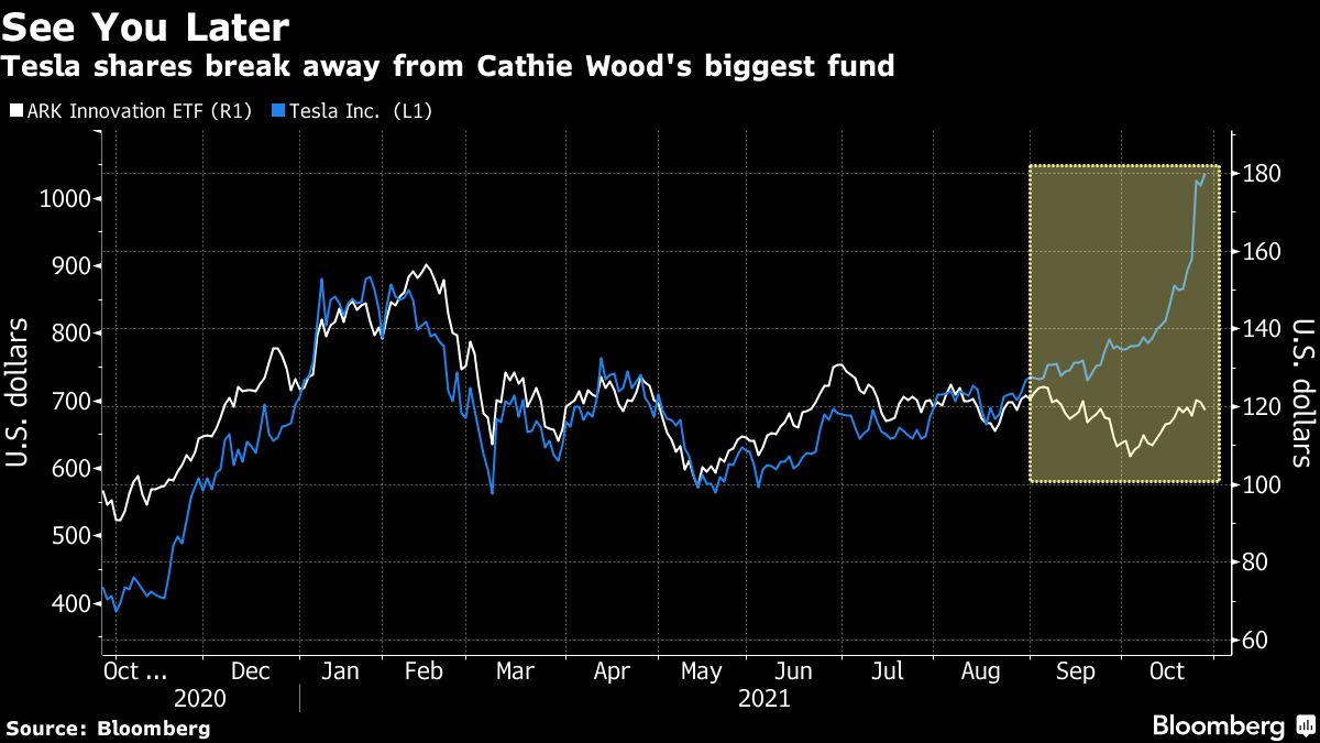 Anti-Ark ETF Betting Against Cathie Wood Changes Its Name