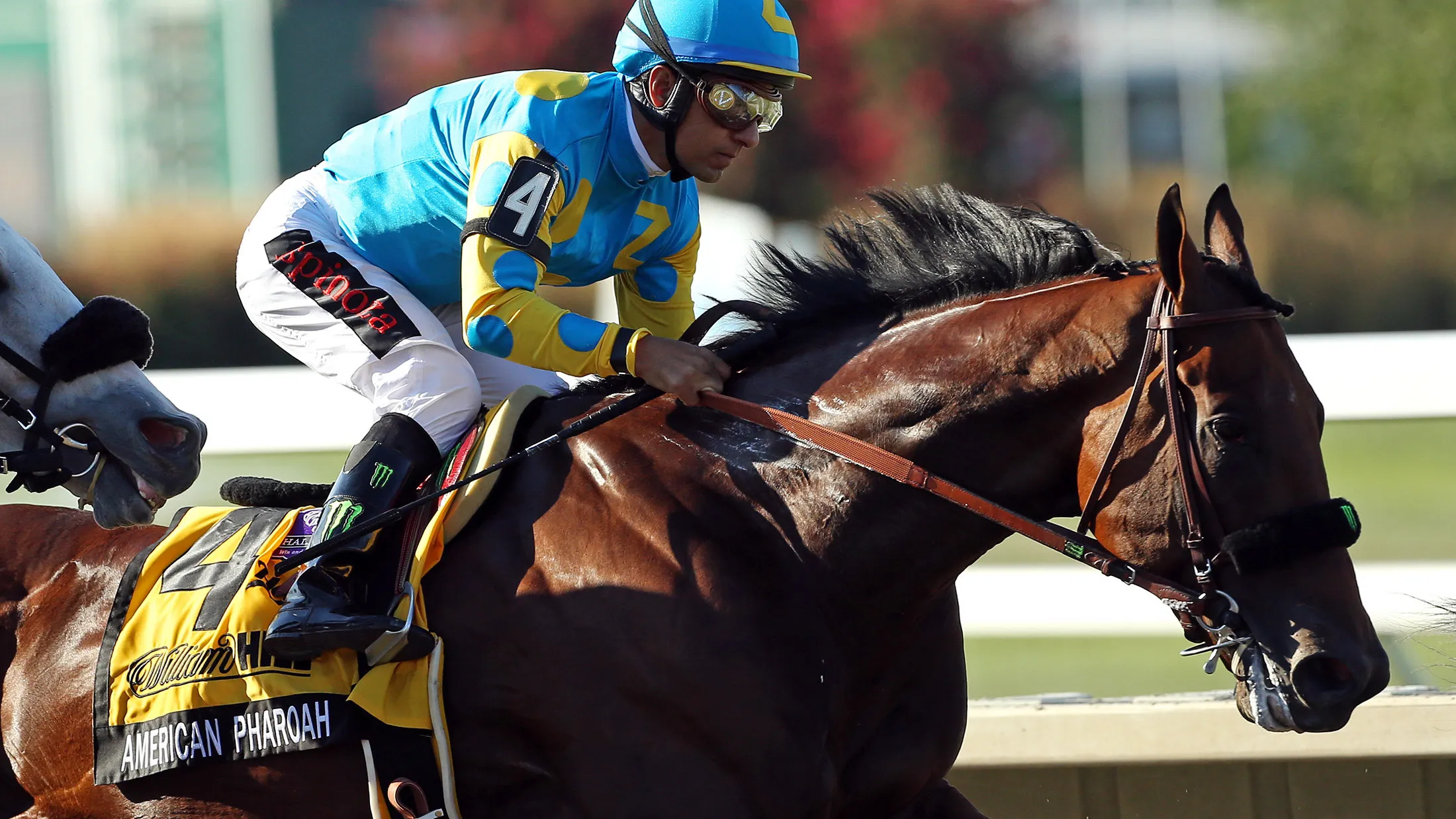 American Pharoah Gets One Last Shot After a Stunning Defeat - Bloomberg