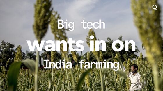 Amazon, Microsoft Swoop In on $24 Billion India Farm-Data Trove