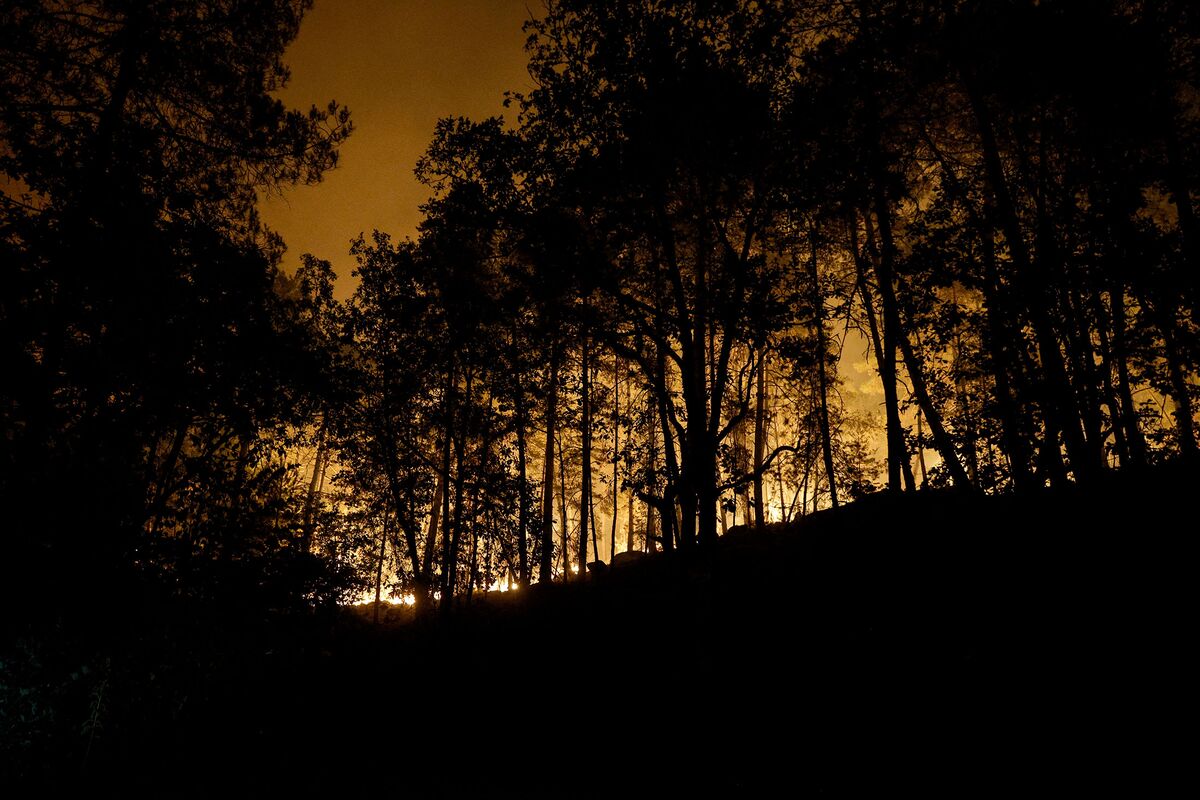 Wildfire Near Paris Shows Europe’s Growing Heat Wave Risks