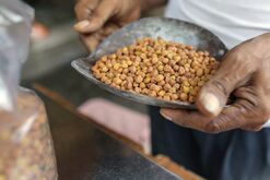A 3,000-Year-Old Pea Could Solve India's Inflation Woes