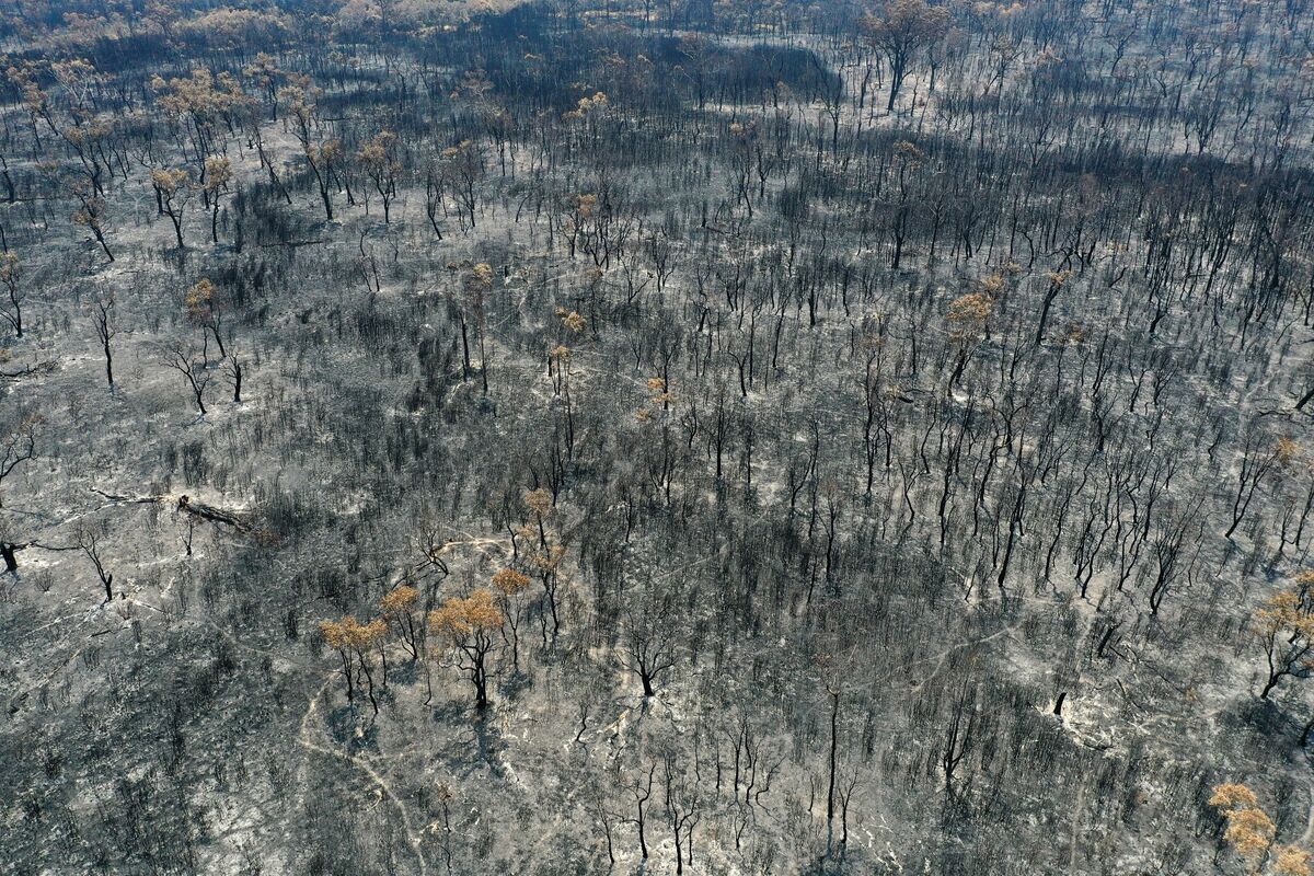 More Australians Fear Climate Change Amid Wildfire Disaster - Bloomberg