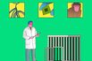 Lab Monkeys Are the Latest Covid Shortage