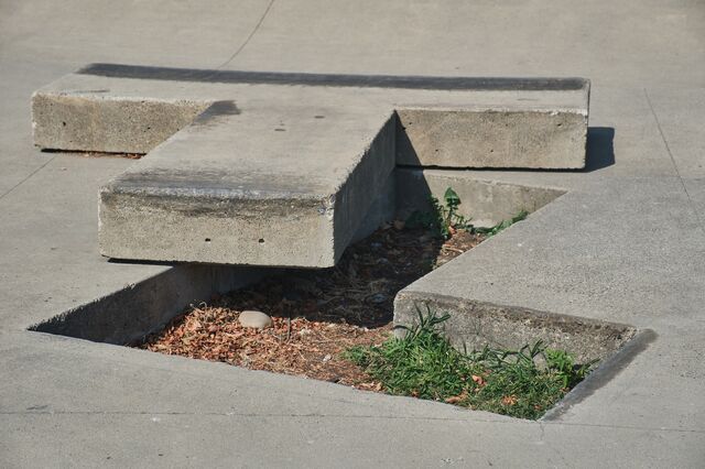 A biofiltration islands designed for natural onsite treatment of storm water at the Ed Benedict Skate Plaza.