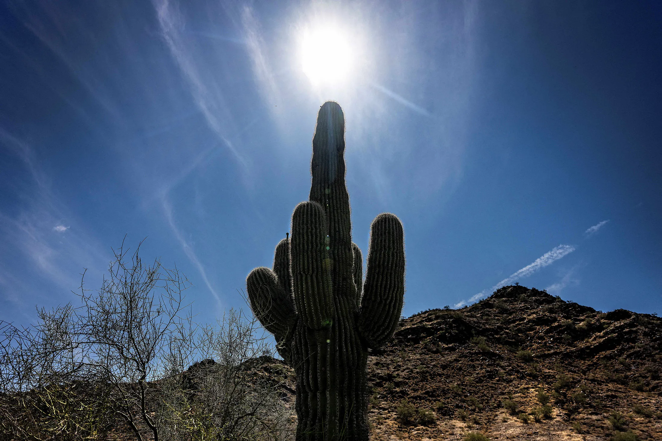 The heat wave is forecast to end this week and highs in Phoenix may fall to 78F by Saturday, a marked decline from the triple-digit temperatures that have dominated since September.