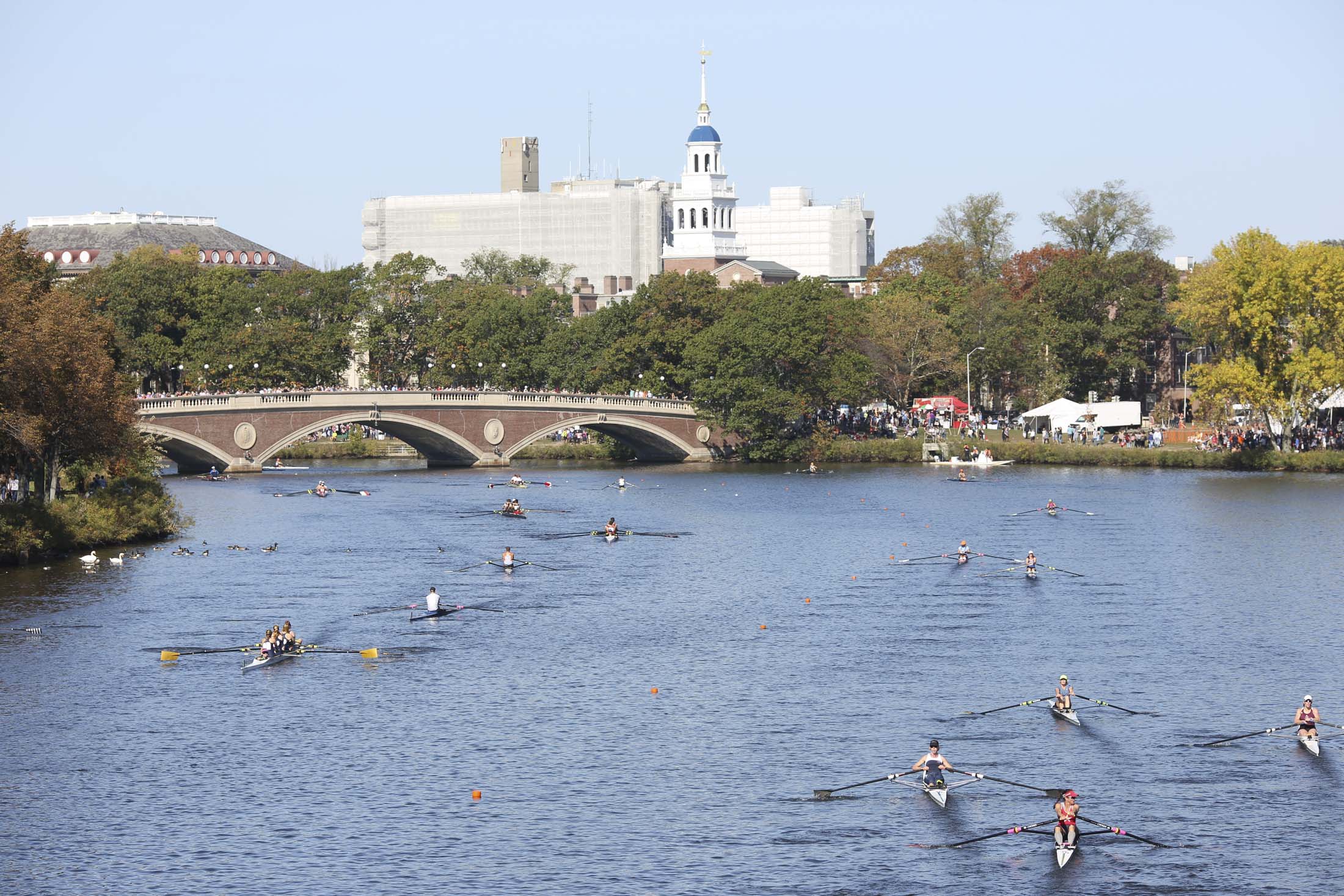 Row House Gets Real Competition at Head of the Charles Regatta