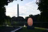 WASHINGTON, D.C., AUGUST 14: 'The Soil You See' by artist Wendy