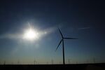 Wind turbines in Taft, Texas.