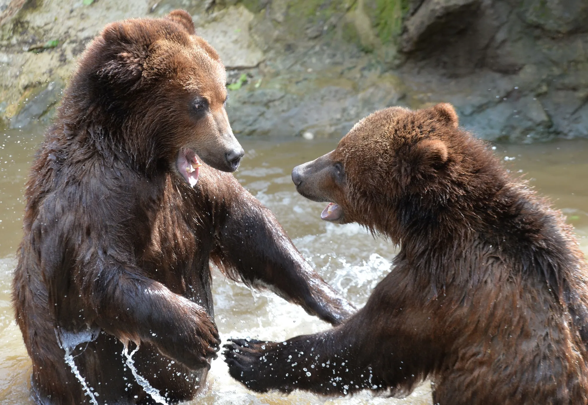 Bond investors are growling.