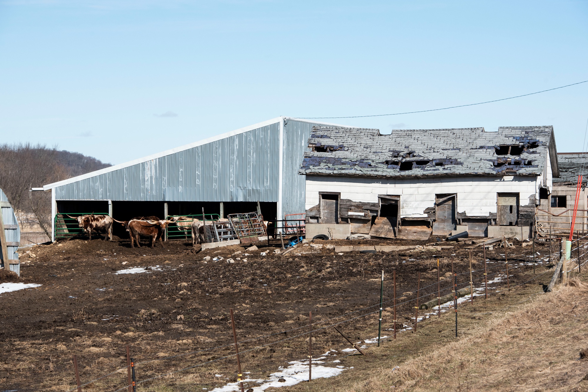 A farm near Loganville, Wisconsin