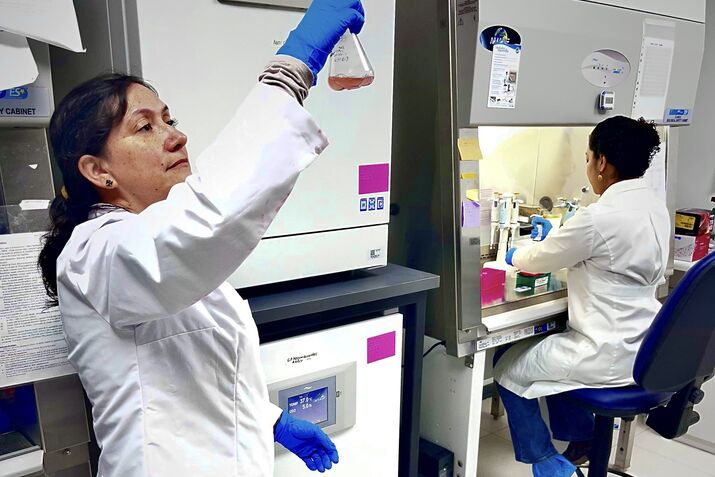 Hantavirus Scientists Were Close to Vaccine But Ran Out of Money