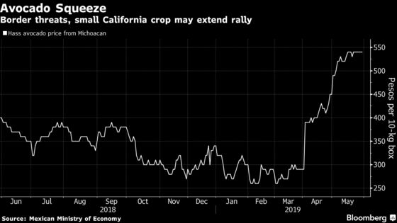 U.S. Avocado Lovers Expected to Foot the Bill for Trump Tariffs