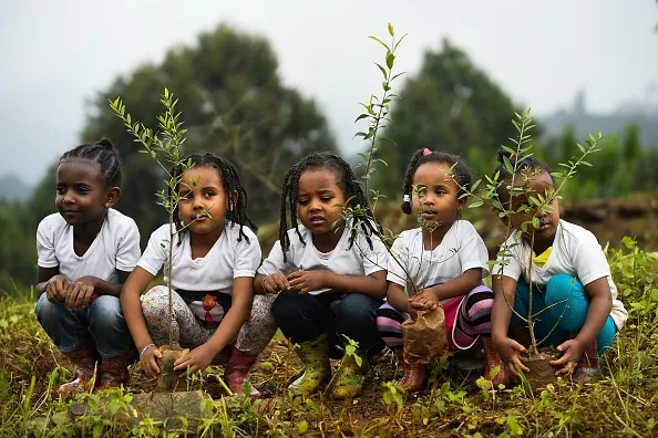 Restoring the forest, offsetting emissions.