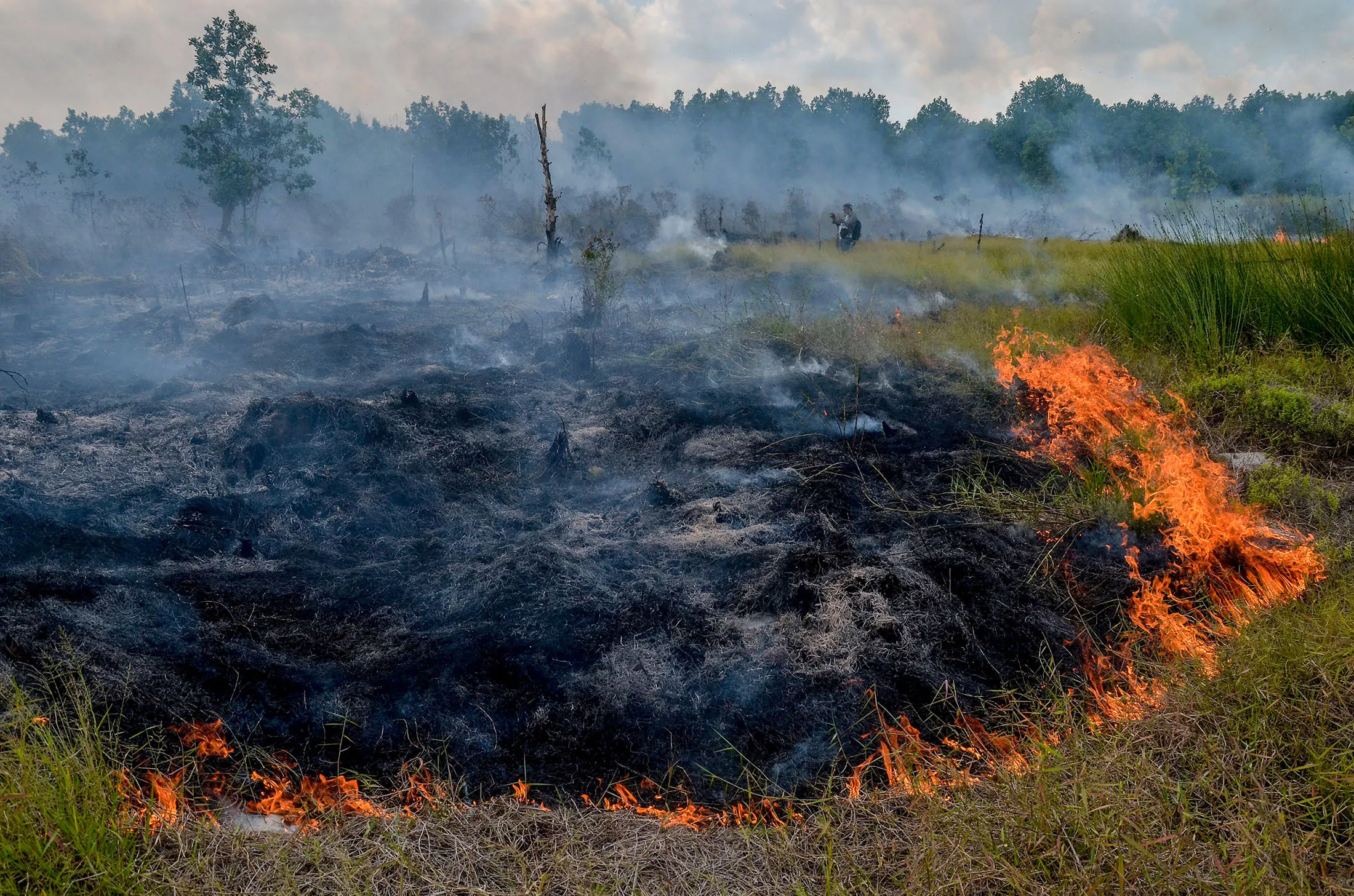 Smoke rises up from a peat-land fire in Pekanbaru, Riau province, on Feb. 1.