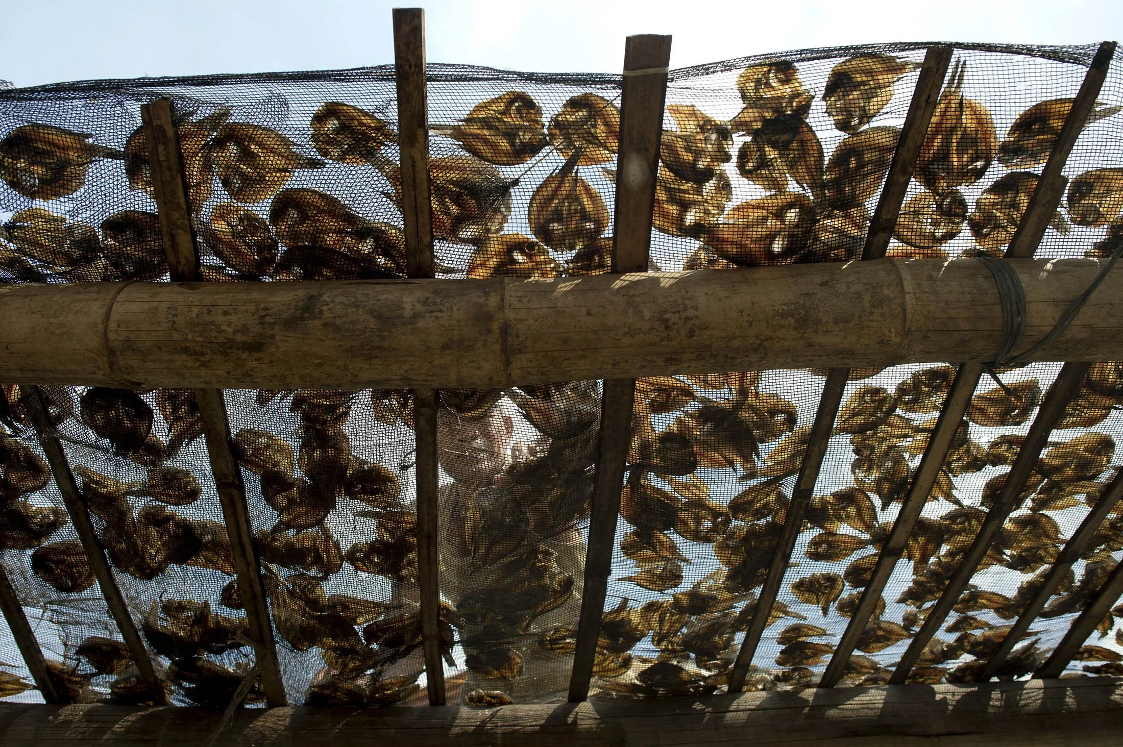 PHILIPPINES-ENVIRONMENT-FISHING