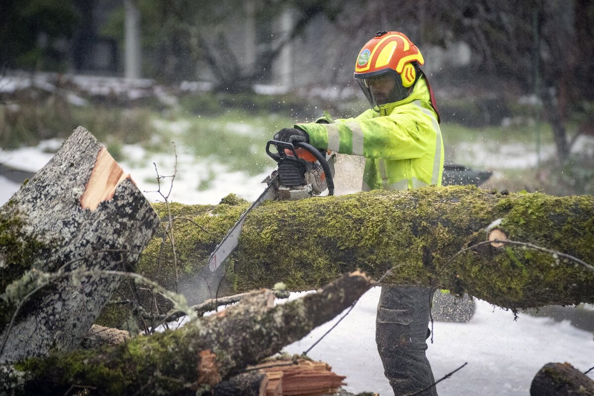 Icy blast gripping US blamed for deaths in Tennessee, as Oregon braces for another round of cold