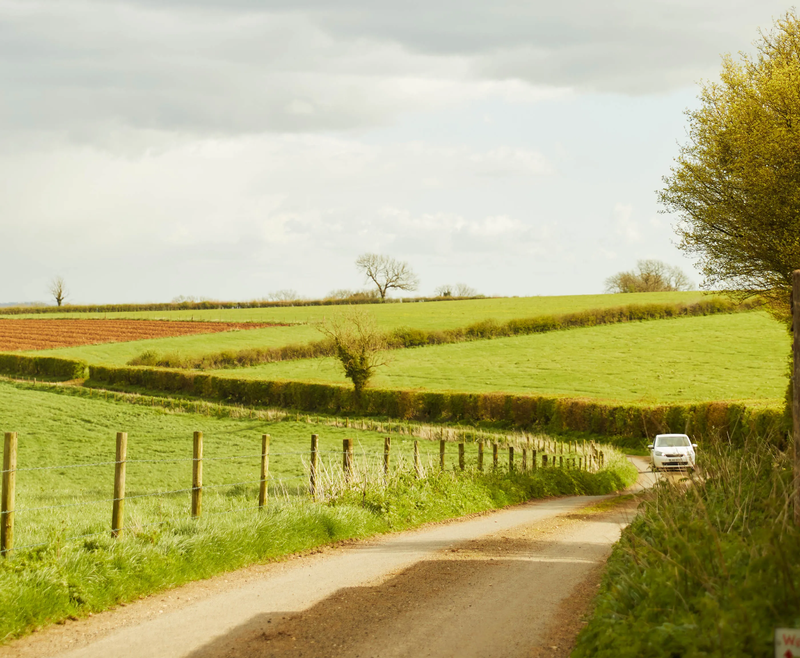 A road near Batcombe in Somerset, UK, where the author learned to let someone else take the wheel.