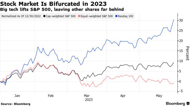 Stock Market Is Bifurcated in 2023 | Big tech lifts S&P 500, leaving other shares far behind