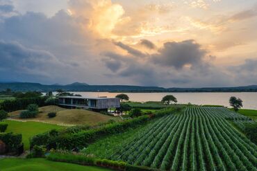 PURSUITS_WEB_INDIANWINES