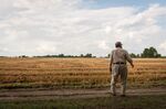 A farmer surveys his land during a harvest in Bolivar County, Mississippi.