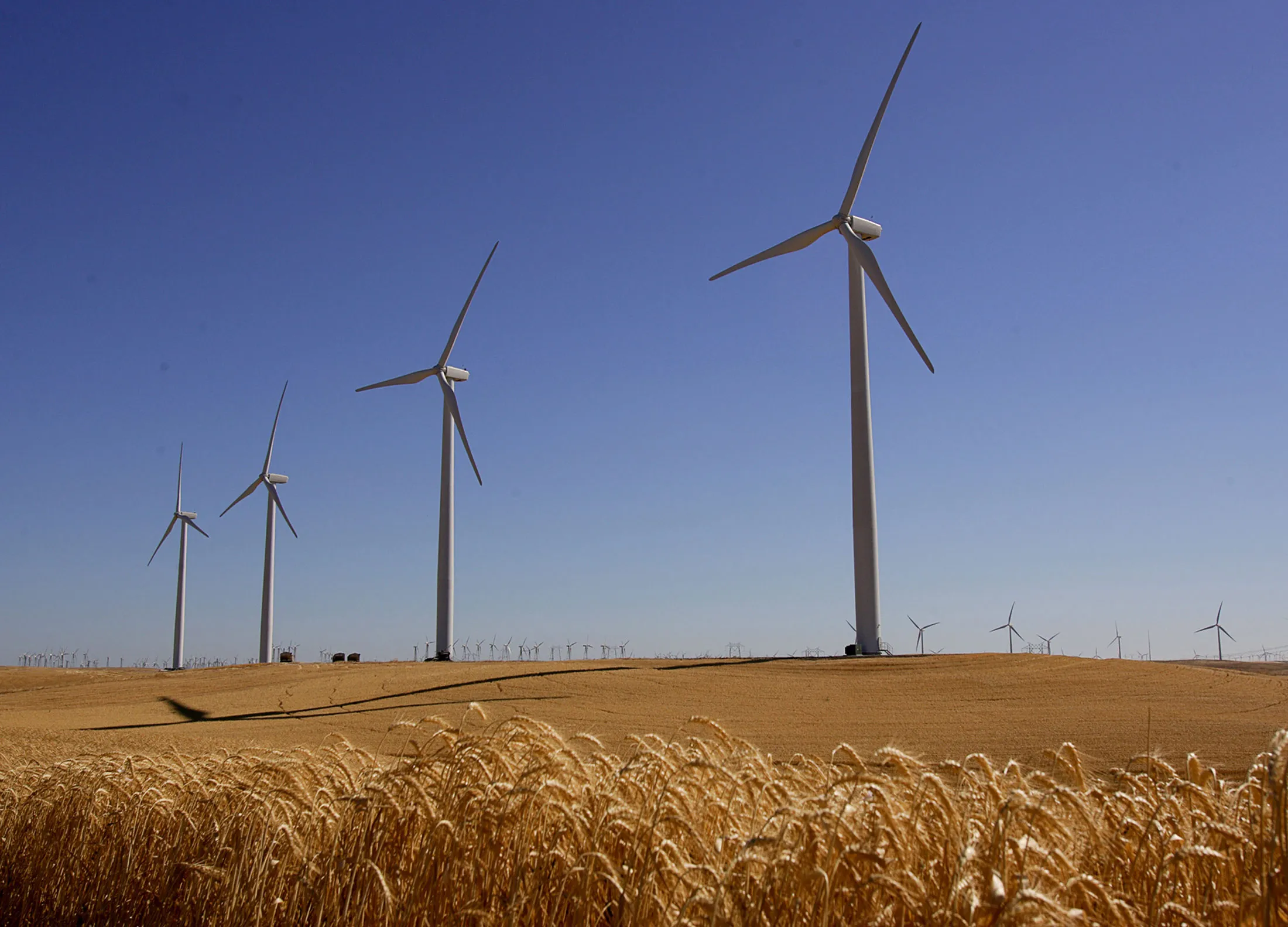 1508490746_Wind-GE-US