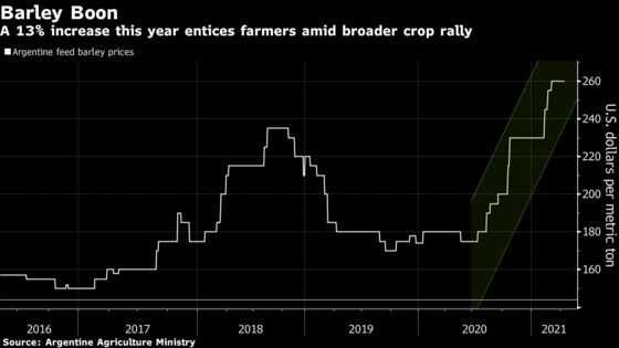 Australia-China Spat Opens Door for Grain Rival Argentina