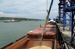 Wheat is loaded aboard a cargo ship in the port of Rostov-on-Don, Russia, on July 26.