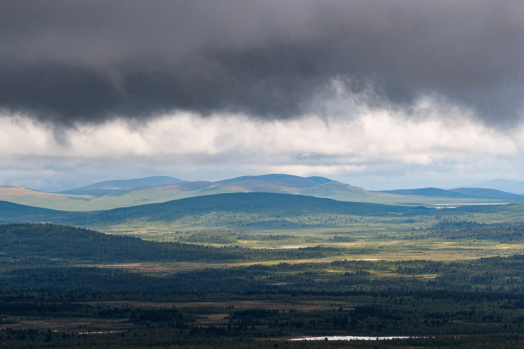 The deposit was discovered near the&nbsp;Arctic town of Kiruna, Sweden.