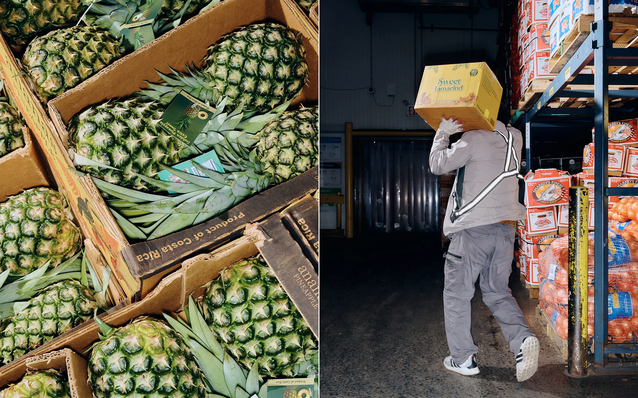 A worker loads produce into the back of a truck.