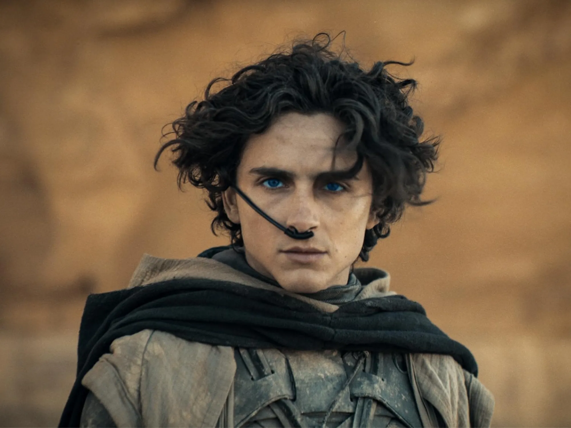 A dose of Timothee Chalamet makes climate awareness so much more fun.