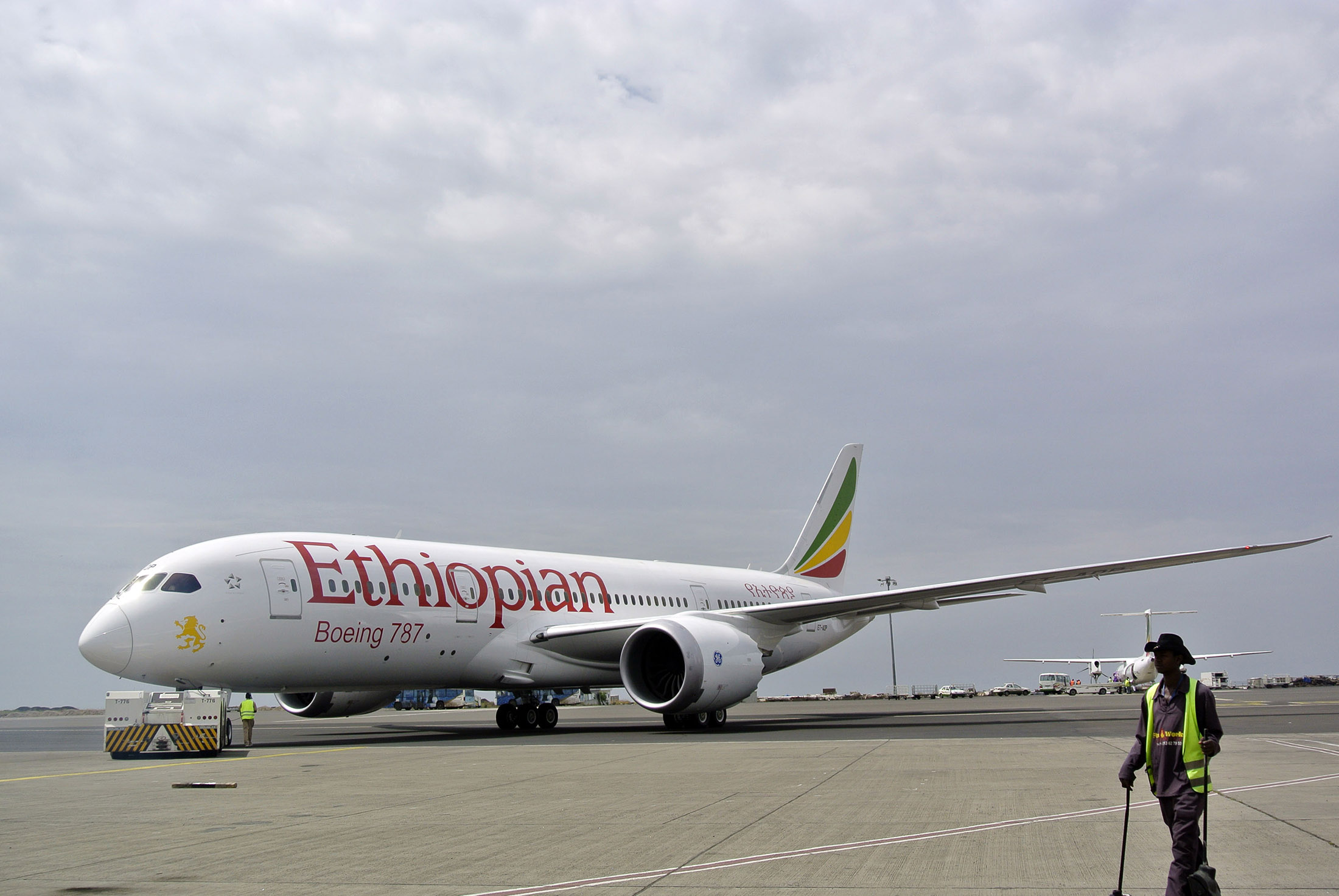 An Ethiopian Airlines Dreamliner jet.