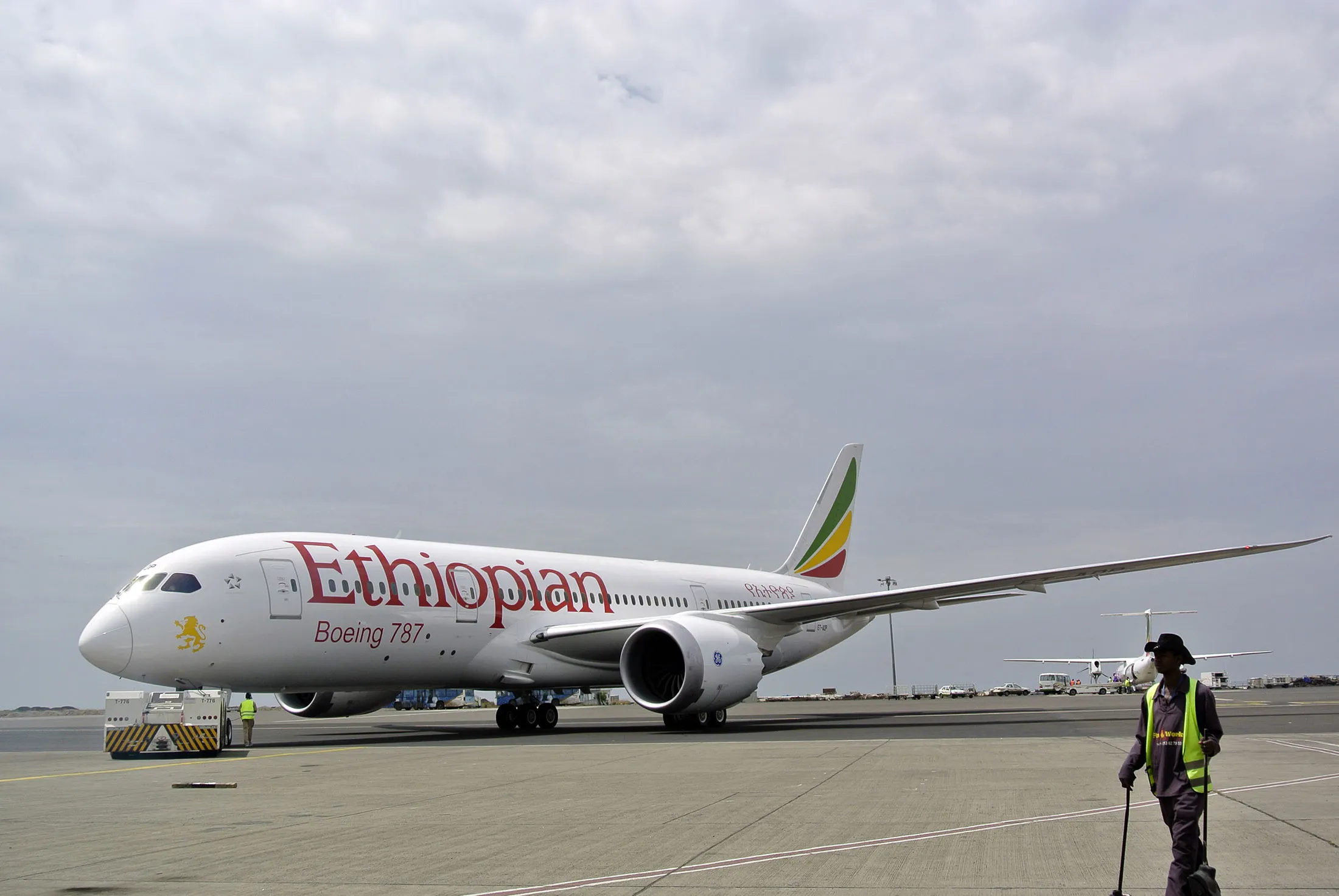An Ethiopian Airlines Dreamliner jet.