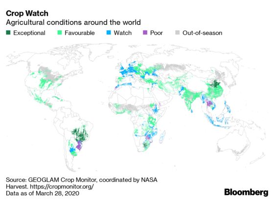 Weather Is Still the Wild Card in Global Food Supply