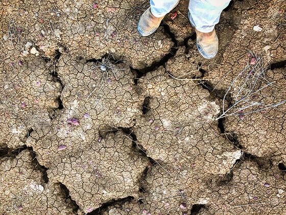 Farmers Take on ‘Post-Apocalyptic’ Food Crisis