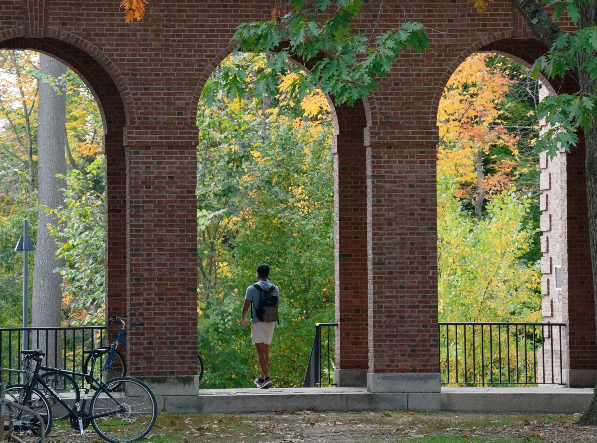 The economic recovery is opening up better options for young people than just college.