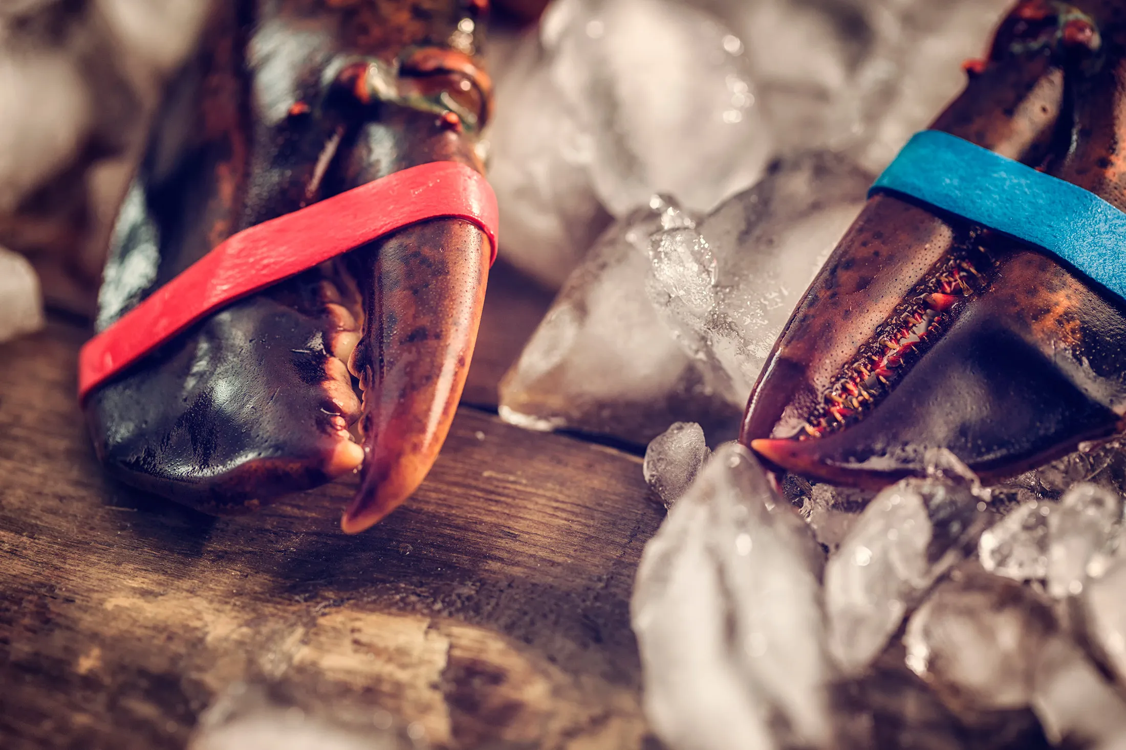 trans_container24__01