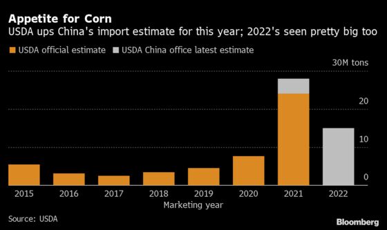 Corn Is Surging as U.S. Sees China Imports at All-Time High