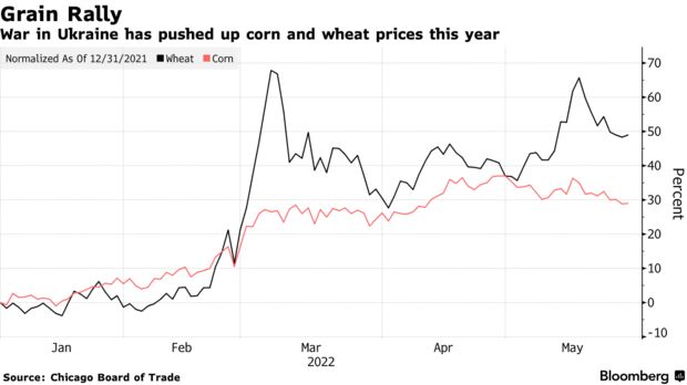 War in Ukraine has pushed up corn and wheat prices this year