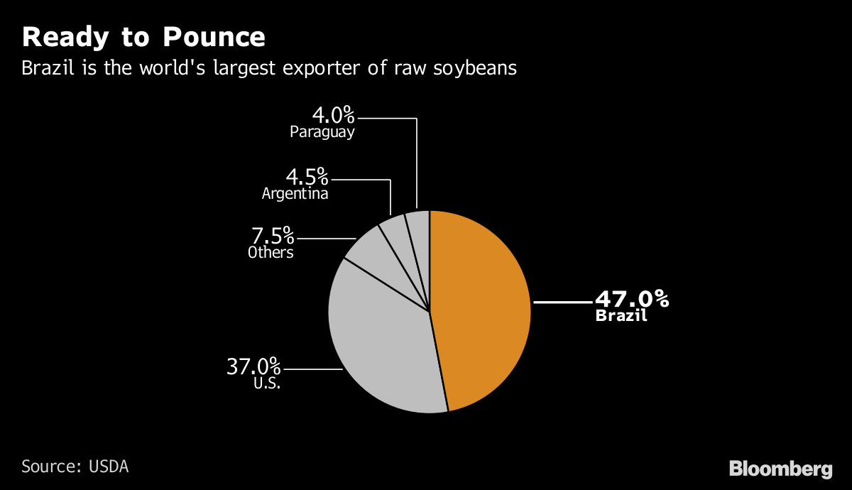 South America Stands to Benefit From a Trade War It Doesn't Want