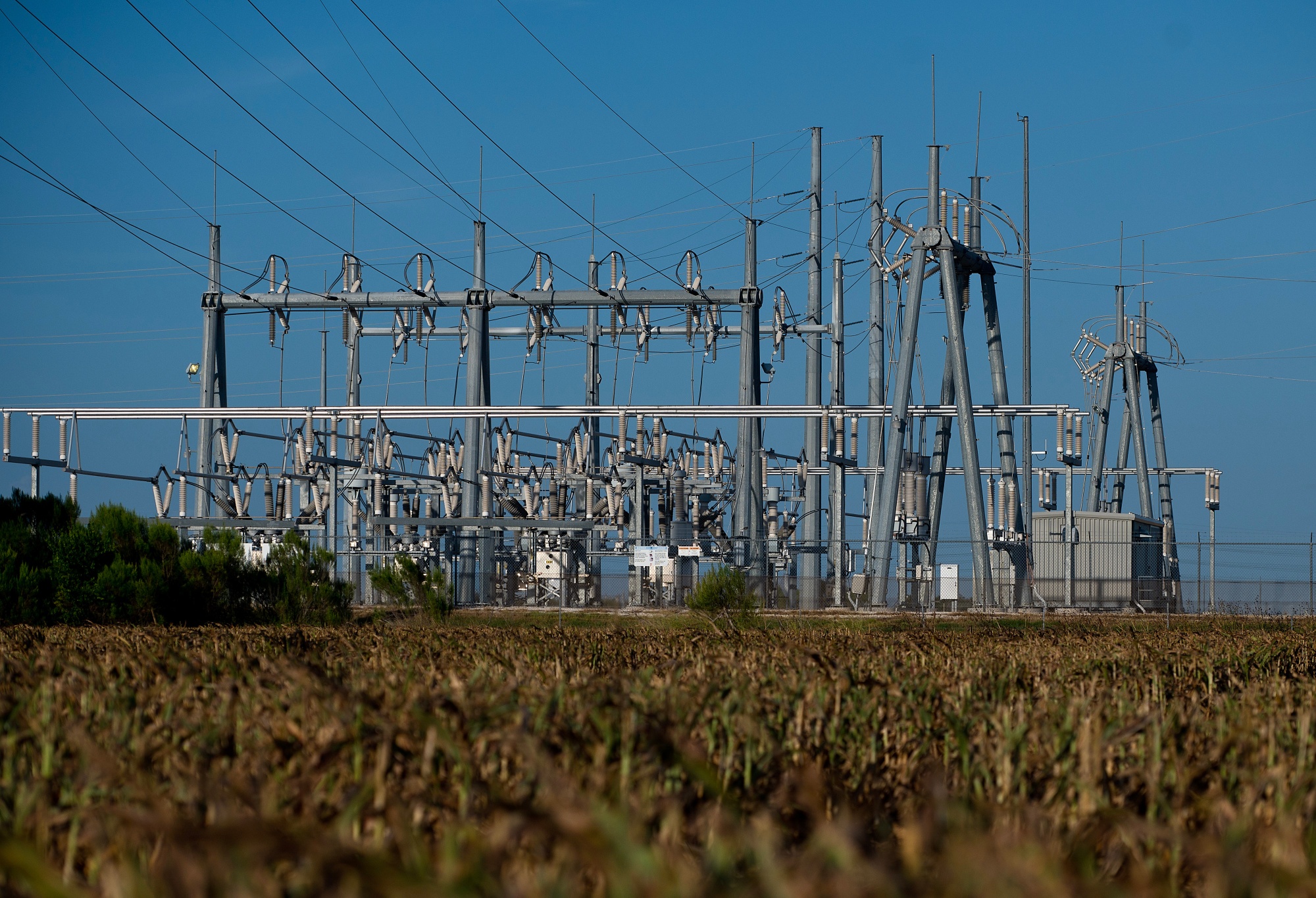 Texas Power Grid Holds Up During String of 100-Degree Days - Bloomberg