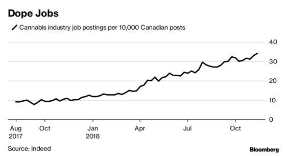 Pot Is So Hot in Canada That Firms Are Importing Workers