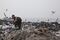 Waste Managemnent In New Delhi As City Struggles Against Mounting Piles Of Refuse