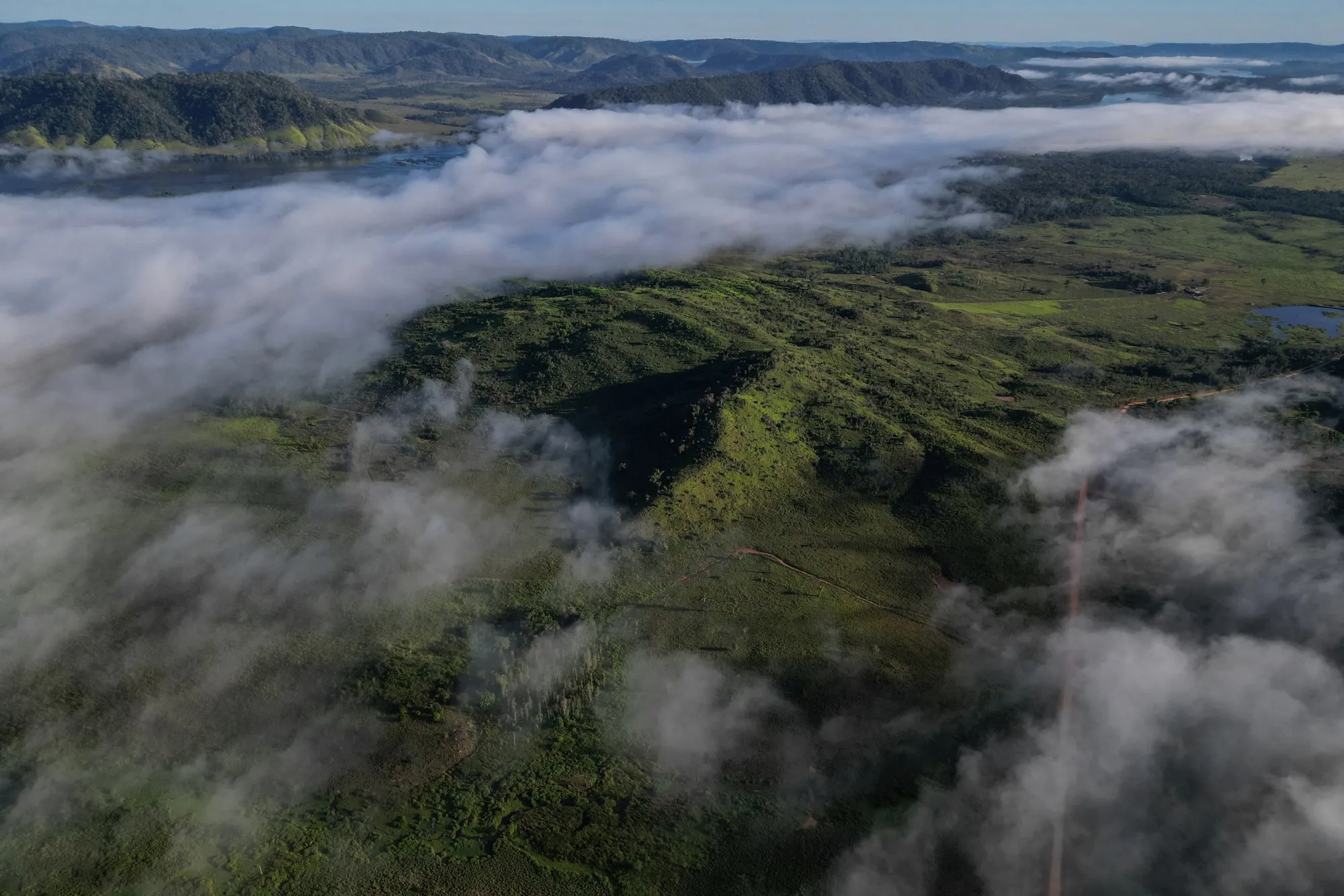 The moratorium is a pact according to which traders are not allowed to source soybeans from Amazon lands deforested prior to 2008.