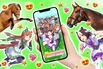 Japan’s Viral Horse-Racing Video Game Has Players Flocking to Real-Life Stables