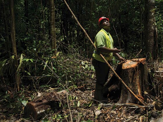 How to Make Money Off Rainforests Without Cutting Them Down
