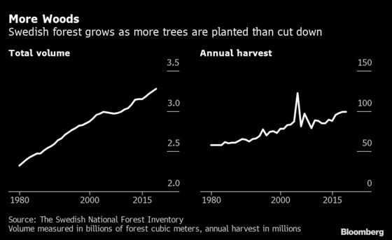 Cutting Down Trees Can Help Save Climate in Forest Industry Math