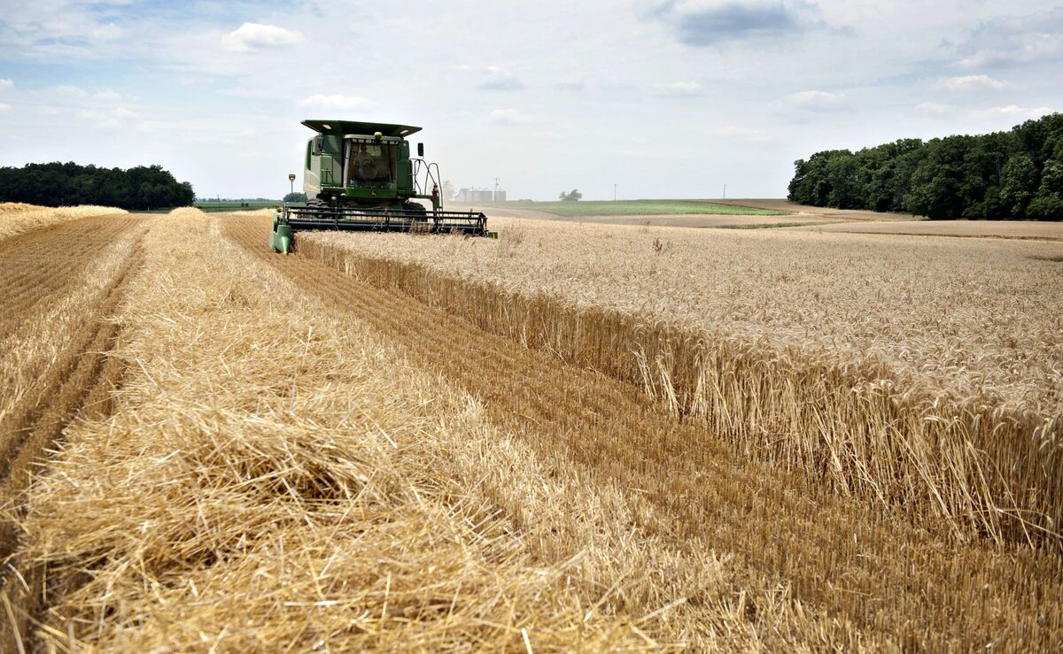 ⚫️ BLOOMBERG: "Aumento nei mercati agricoli USA dopo incontro tra Cina e delegazione del Midwest"