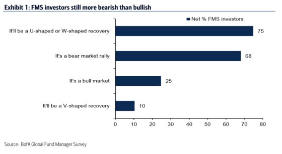 BofA Poll Shows Investors Doubt This Stock Market Rally Can Last
