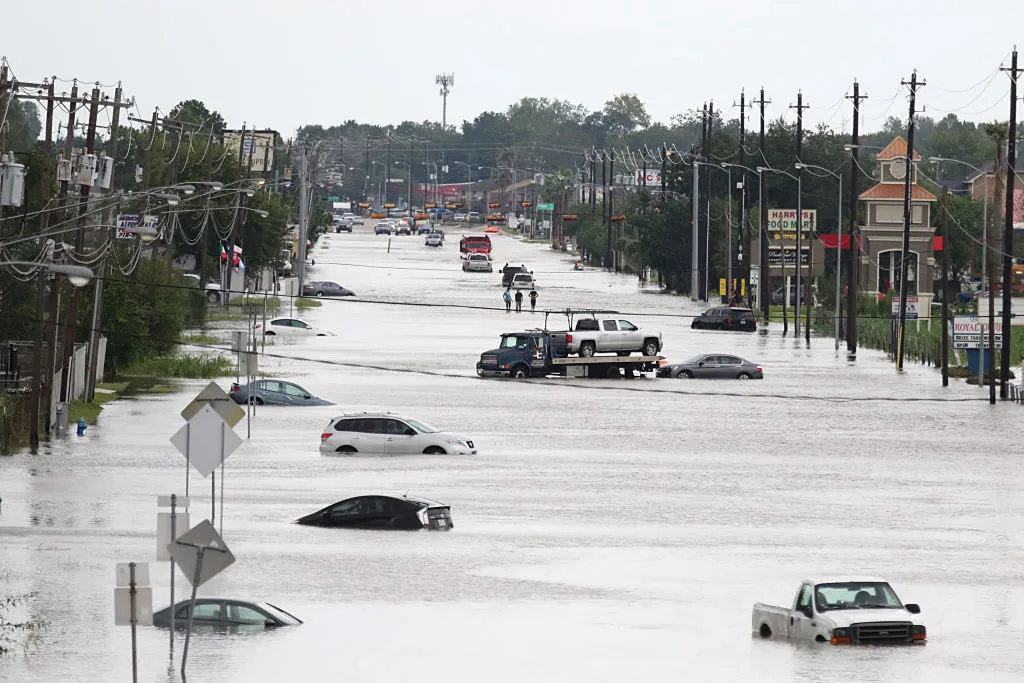 More than 500,000 vehicles may have to be replaced.
